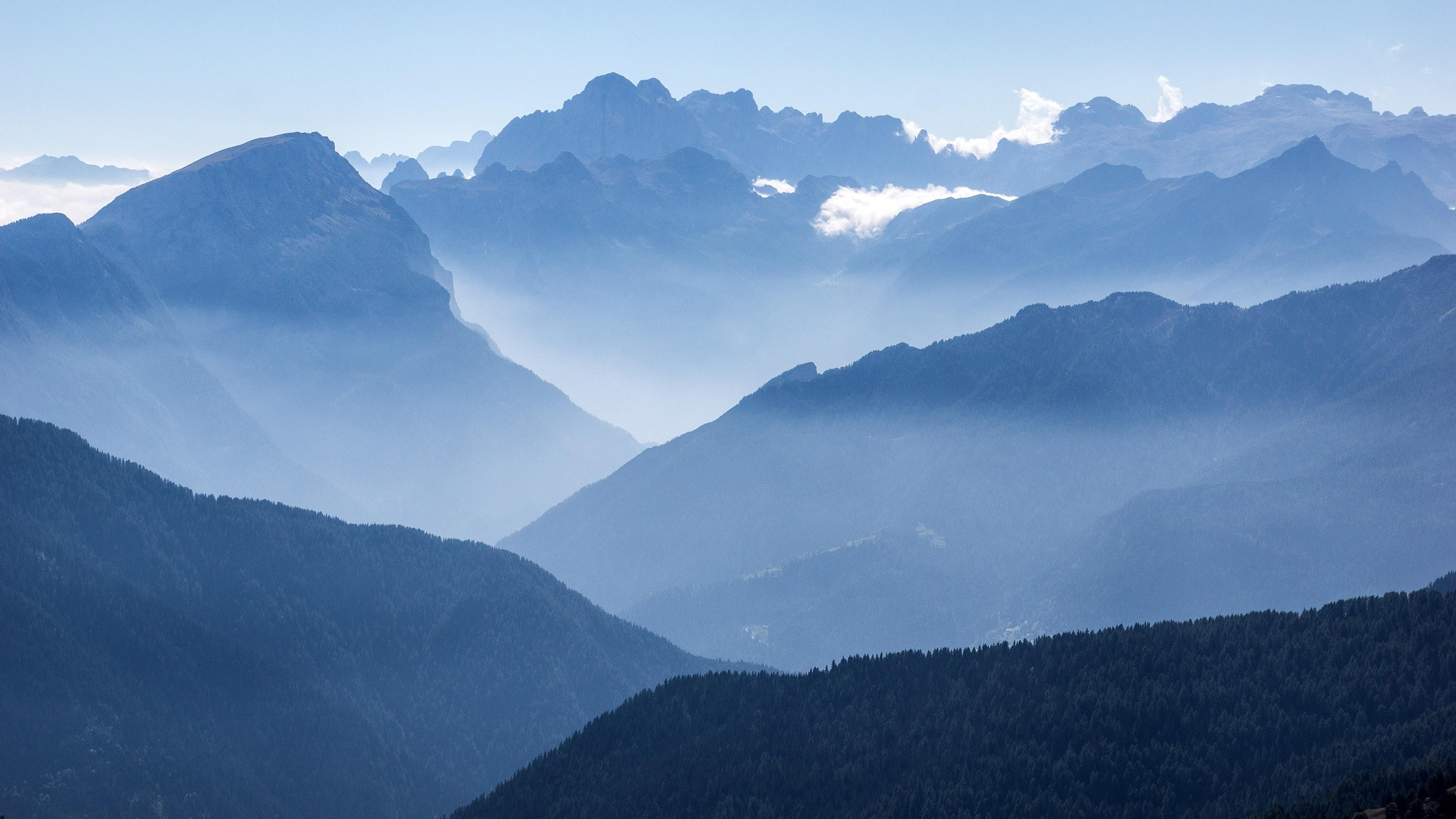 Amore 3.0