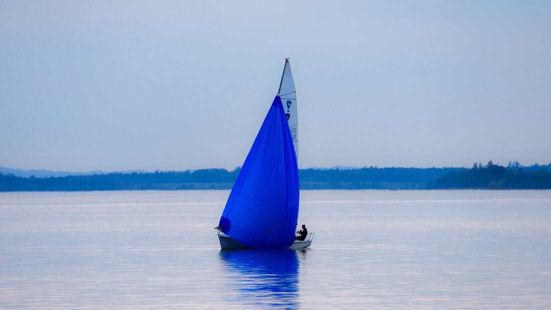 A vele aperte. Riflessioni sul discorso di papa Francesco al Consiglio Nazionale del Rinnovamento nello Spirito Santo