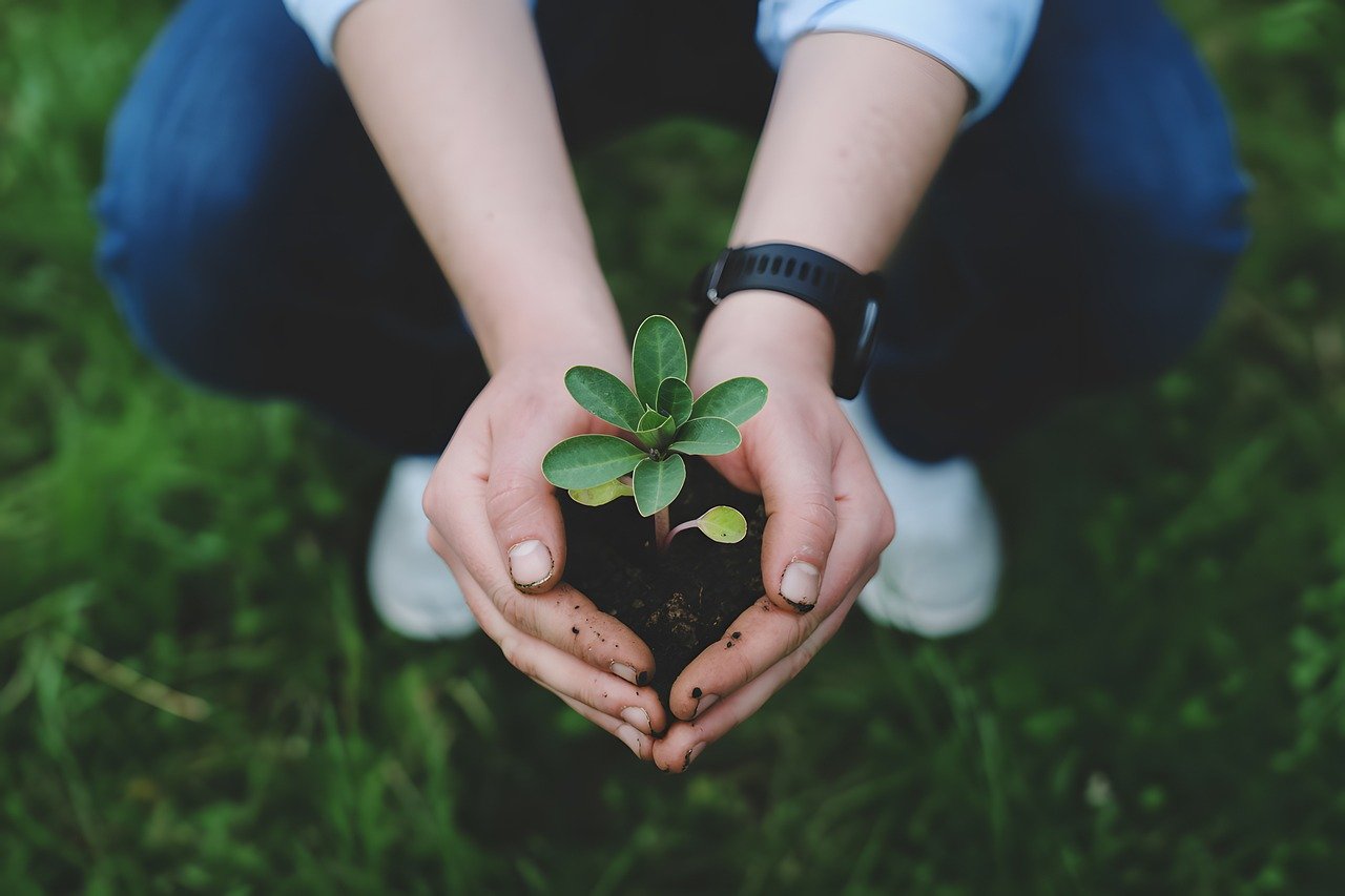 Siano una cosa sola – L’ecumenismo, una chiamata per tutti