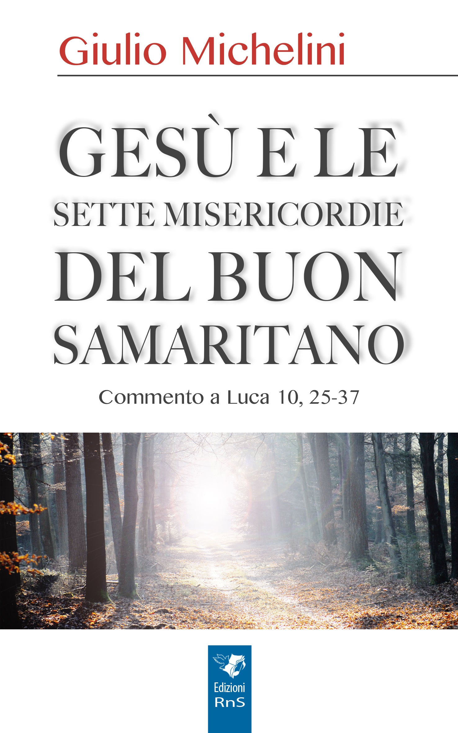 Gesù e le sette misericordie del buon samaritano. Commento a Luca 10, 25-37