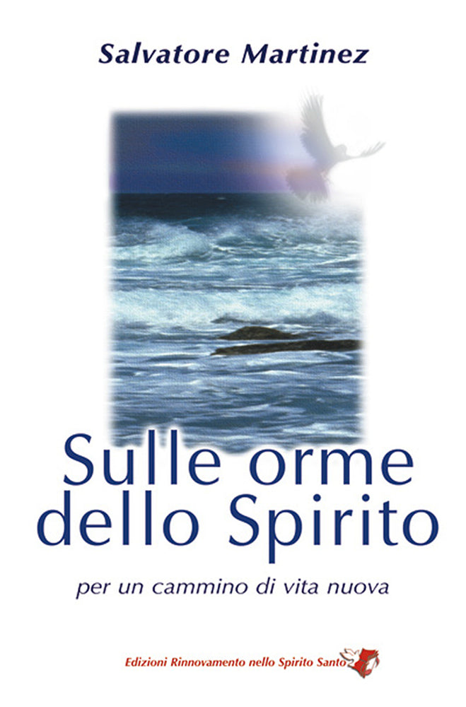 Sulle orme dello Spirito N.E. 
Per un cammino di Vita Nuova